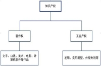 知识产权都有哪些