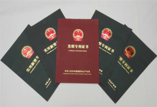 什么叫专利技术规避