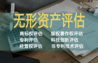 国外专利无形资产评估方法及其应用