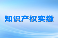 知识产权质押融资，知识产权质押融资风险补偿机制