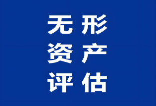 知识产权评估