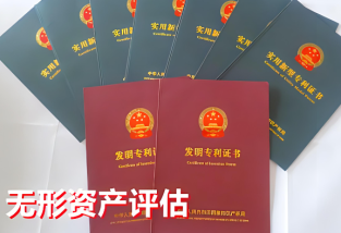 专利评估价值充作实缴资本摊销，专利评估价值充作实缴资本摊销怎么算