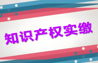 没有资金进行实缴怎么办？